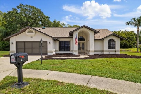 Villa ou maison à New Port Richey, Floride 3 chambres, 204.48 m2 № 2360526