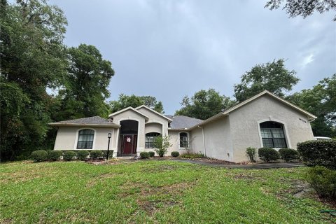Villa ou maison à Dunnellon, Floride 3 chambres, 202.25 m2 № 2322531