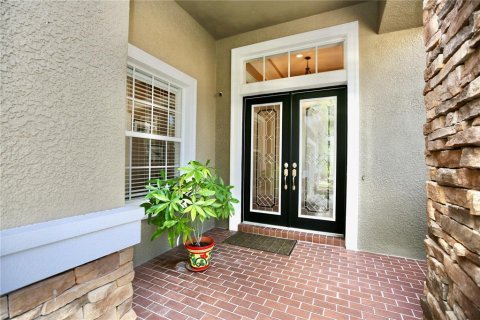 House in Tampa, Florida 4 bedrooms, 270.9 sq.m. № 2398648 - photo 5