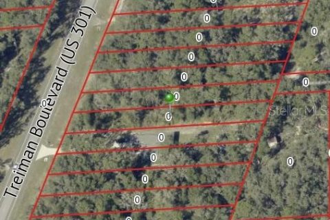 Land in Webster, Florida № 2159026 - photo 6