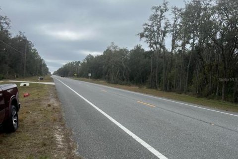 Land in Webster, Florida № 2159026 - photo 4