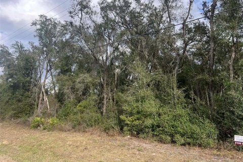 Land in Webster, Florida № 2159026 - photo 2