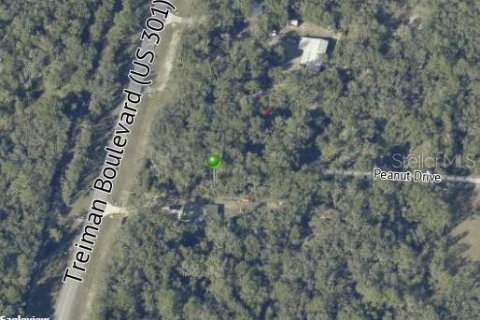 Land in Webster, Florida № 2159026