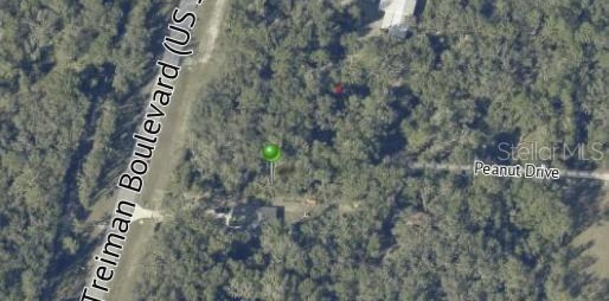 Land in Webster, Florida № 2159026