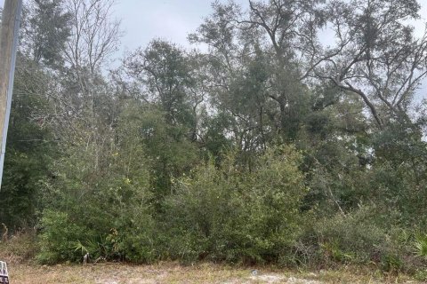 Land in Webster, Florida № 2159026 - photo 3