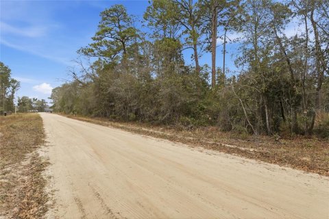 Terrain à vendre à Interlachen, Floride № 2213242 - photo 3