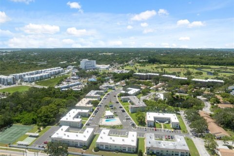 Condo in Tarpon Springs, Florida, 1 bedroom  № 1916949 - photo 25