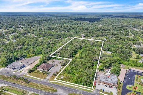 Terreno en venta en Orange City, Florida № 1906443 - foto 3