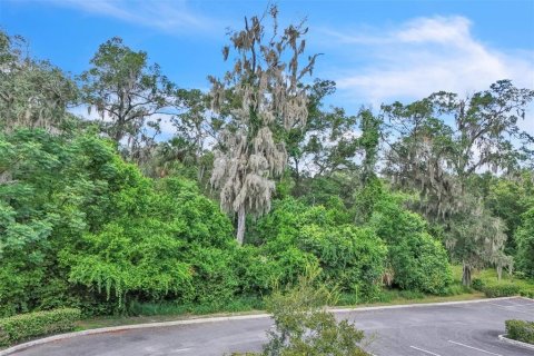 Terreno en venta en Orange City, Florida № 1906443 - foto 23