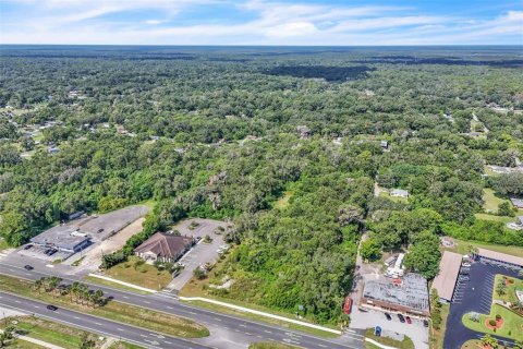 Terreno en venta en Orange City, Florida № 1906443 - foto 4