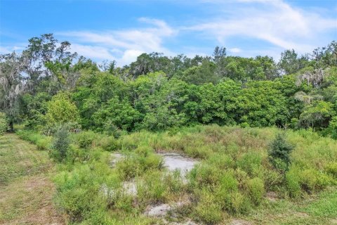 Terreno en venta en Orange City, Florida № 1906443 - foto 19