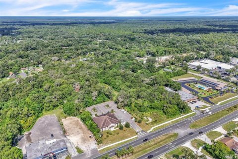 Terreno en venta en Orange City, Florida № 1906443 - foto 6