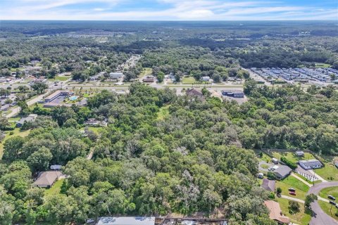 Terreno en venta en Orange City, Florida № 1906443 - foto 8