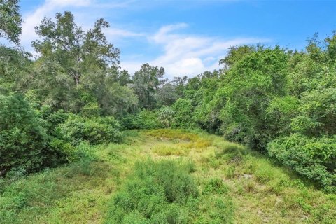 Terreno en venta en Orange City, Florida № 1906443 - foto 20