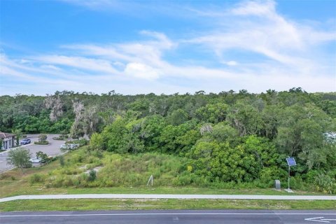 Terreno en venta en Orange City, Florida № 1906443 - foto 17