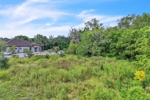Terreno en venta en Orange City, Florida № 1906443 - foto 18