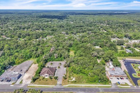 Terreno en venta en Orange City, Florida № 1906443 - foto 2