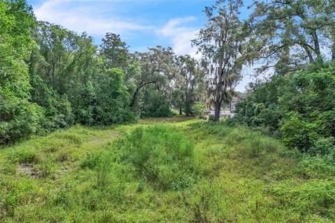 Terreno en venta en Orange City, Florida № 1906443 - foto 21