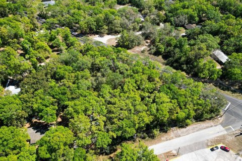 Terreno en venta en Mount Plymouth, Florida № 1777271 - foto 7