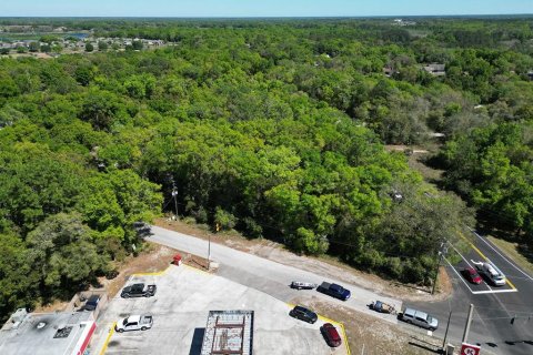 Terreno en venta en Mount Plymouth, Florida № 1777271 - foto 3