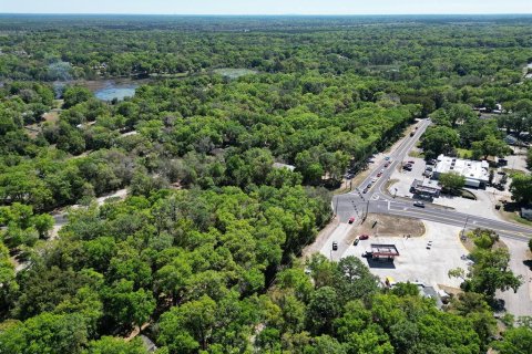 Terreno en venta en Mount Plymouth, Florida № 1777271 - foto 13