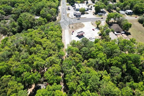 Terreno en venta en Mount Plymouth, Florida № 1777271 - foto 10