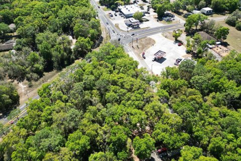 Terreno en venta en Mount Plymouth, Florida № 1777271 - foto 9