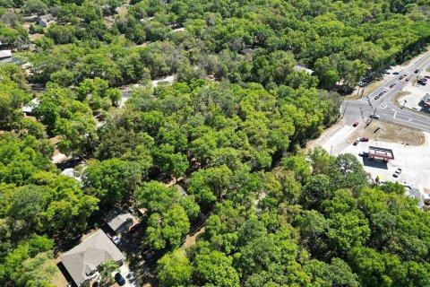 Terreno en venta en Mount Plymouth, Florida № 1777271 - foto 11