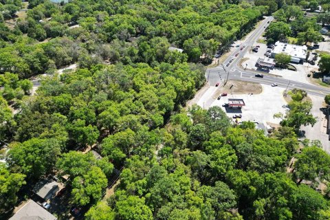Terreno en venta en Mount Plymouth, Florida № 1777271 - foto 12