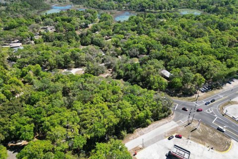 Terreno en venta en Mount Plymouth, Florida № 1777271 - foto 8