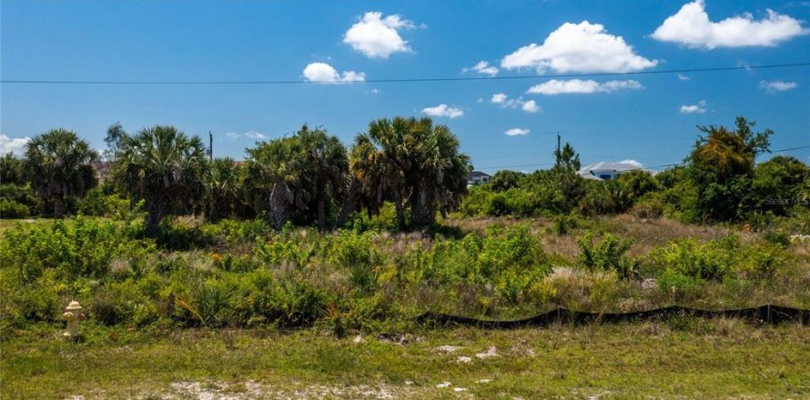Land in Port Charlotte, Florida № 2162575