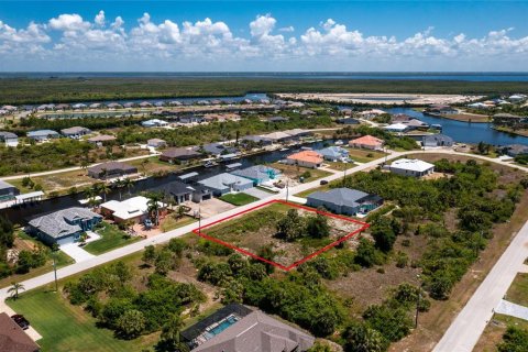 Land in Port Charlotte, Florida № 2162575 - photo 16