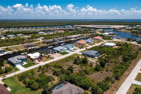 Land in Port Charlotte, Florida № 2162575 - photo 17