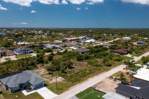 Land in Port Charlotte, Florida № 2162575 - photo 13
