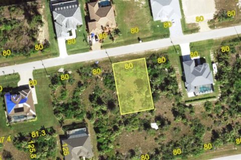Land in Port Charlotte, Florida № 2162575 - photo 3