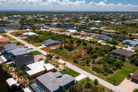 Land in Port Charlotte, Florida № 2162575 - photo 14
