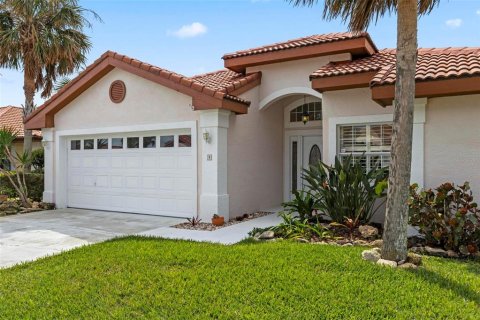 Casa en Palm Coast, Florida 3 dormitorios, 171.31 m2 № 2093609