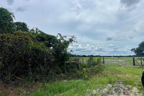 Land in Bartow, Florida № 1906801 - photo 11