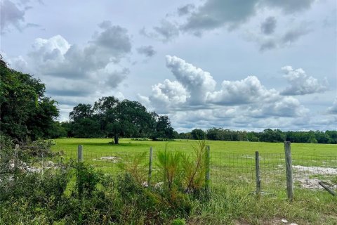 Land in Bartow, Florida № 1906801 - photo 2