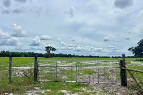 Land in Bartow, Florida № 1906801 - photo 3