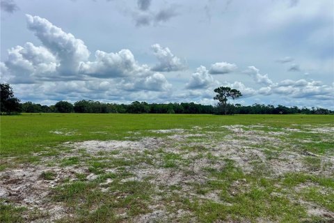 Land in Bartow, Florida № 1906801 - photo 6