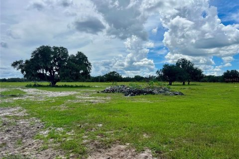 Land in Bartow, Florida № 1906801 - photo 7