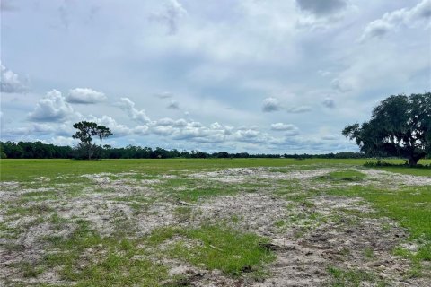 Land in Bartow, Florida № 1906801 - photo 5