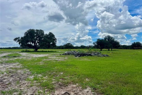 Land in Bartow, Florida № 1906801 - photo 8