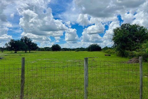 Land in Bartow, Florida № 1906801 - photo 4