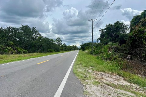 Land in Bartow, Florida № 1906801 - photo 10
