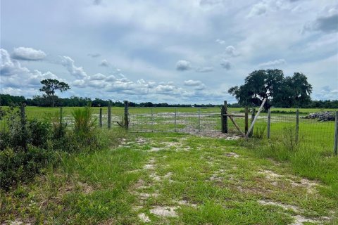 Land in Bartow, Florida № 1906801 - photo 1