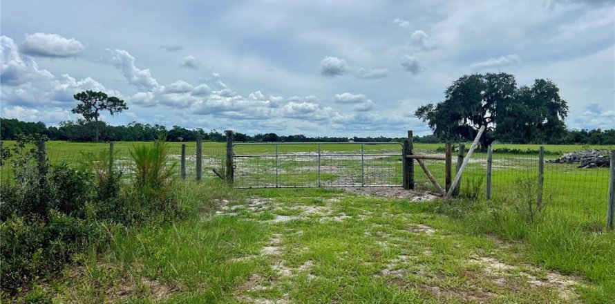Land in Bartow, Florida № 1906801
