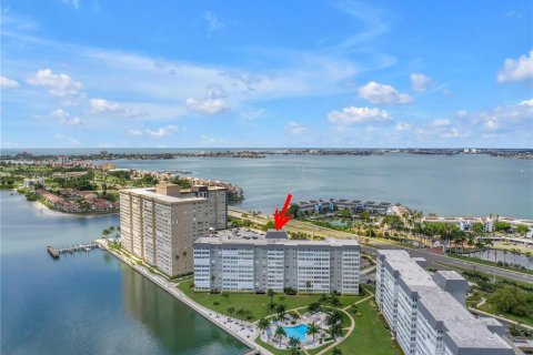 Condo in Saint Petersburg, Florida, 2 bedrooms № 2385836 - photo 2