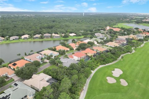 Land in Palm Coast, Florida № 1819329 - photo 12